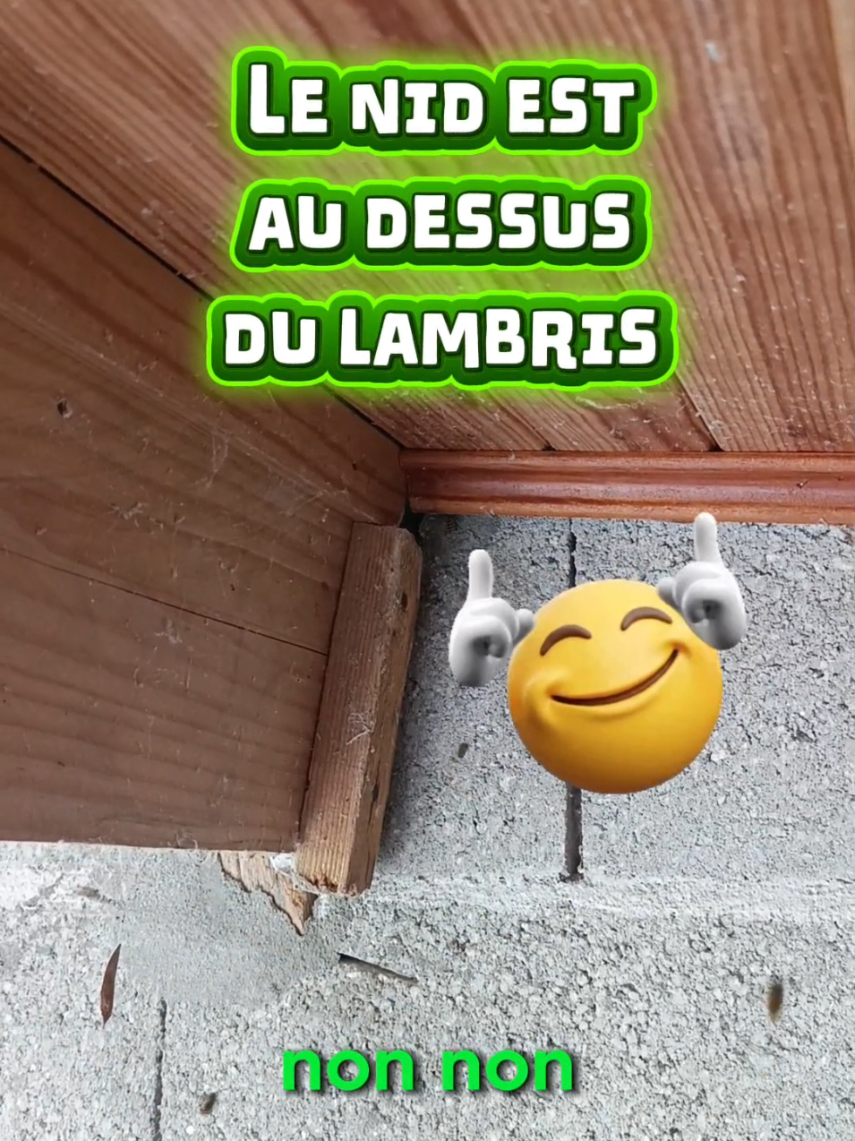 @Médoc Guêpes Frelons Services