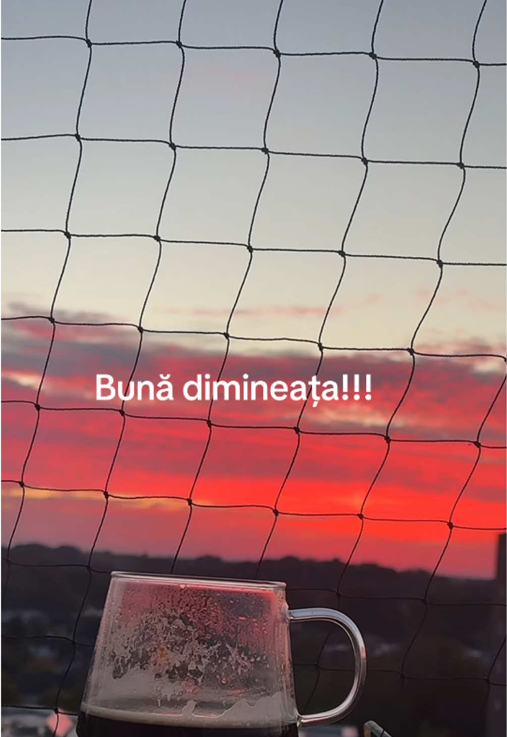 @Steluța