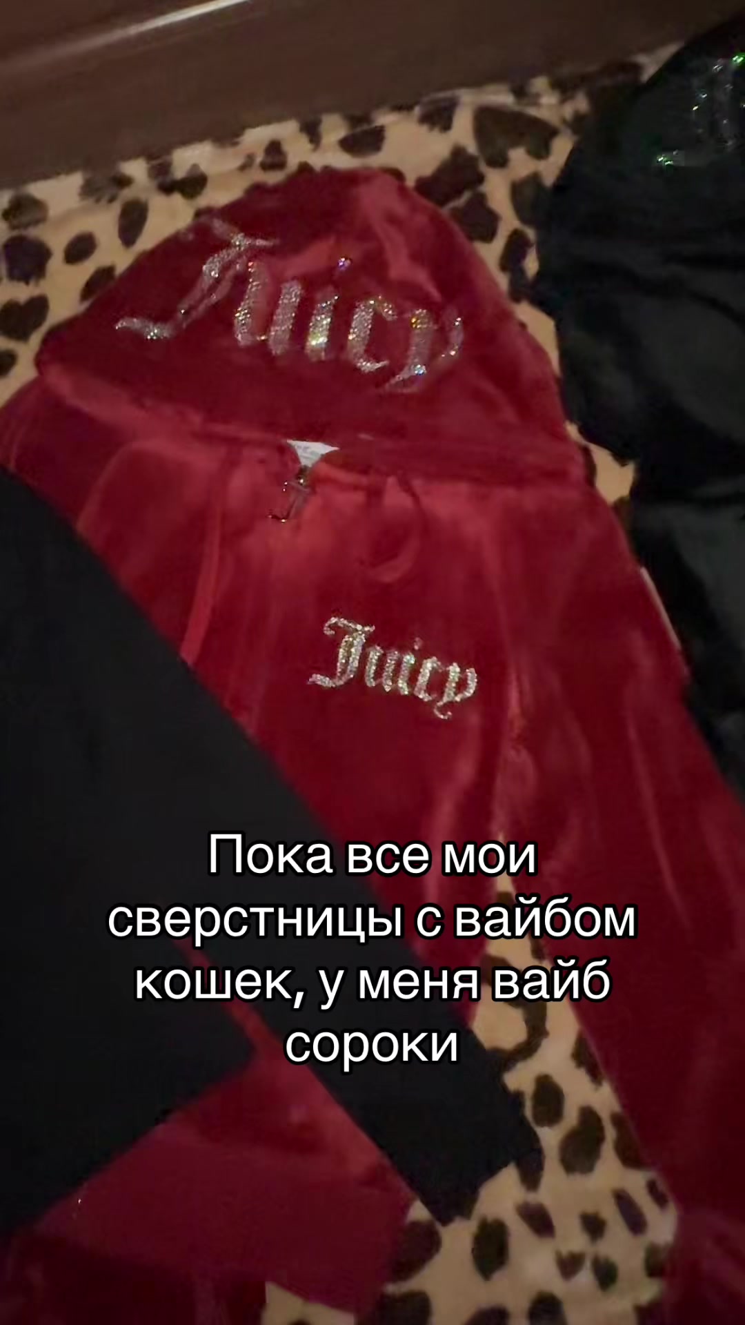 @тгк:bag4baddies