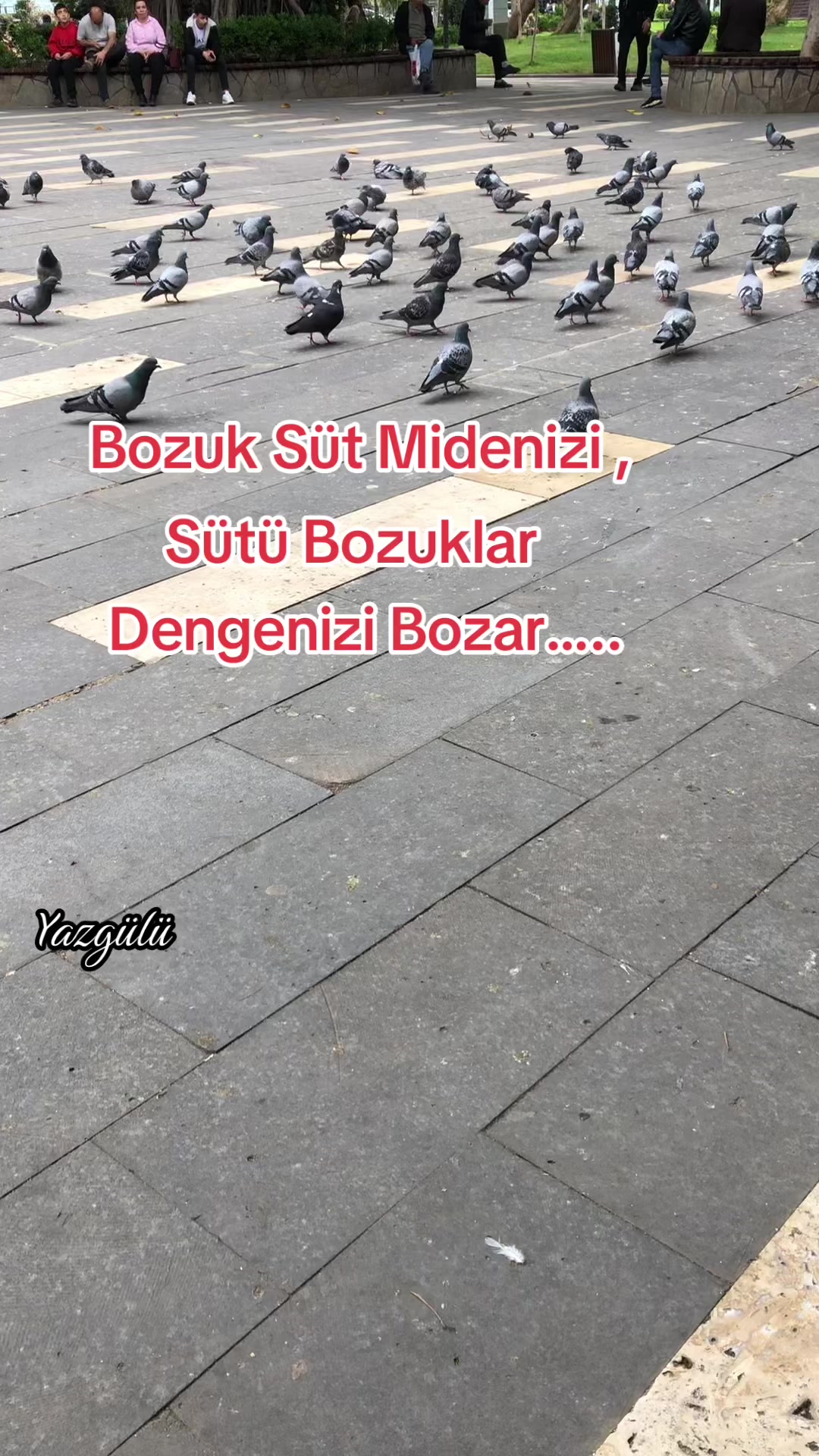 @Miray Yazgülü