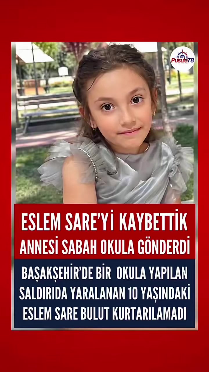 @kedifanatikleri