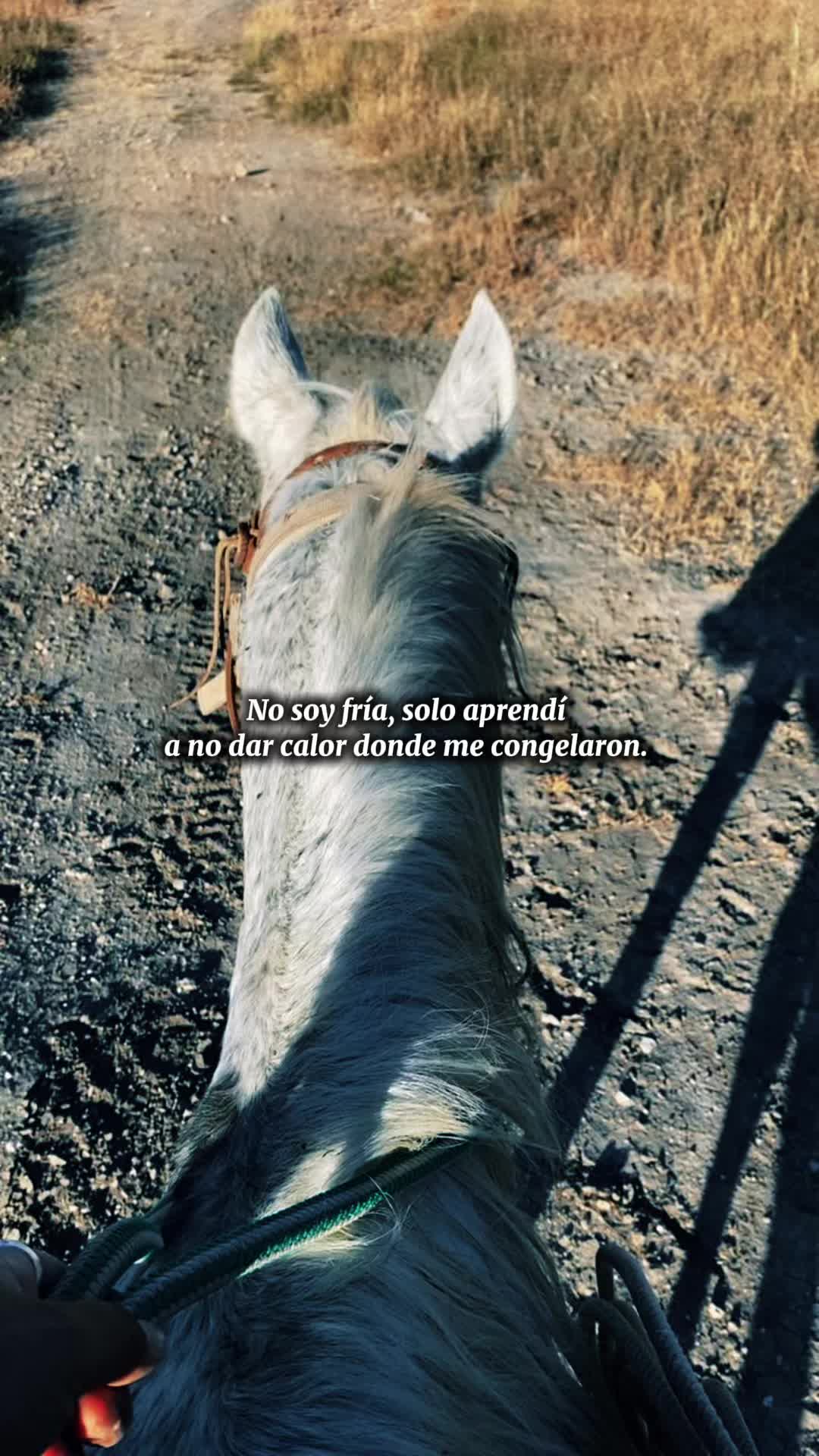 @Stephanie💚