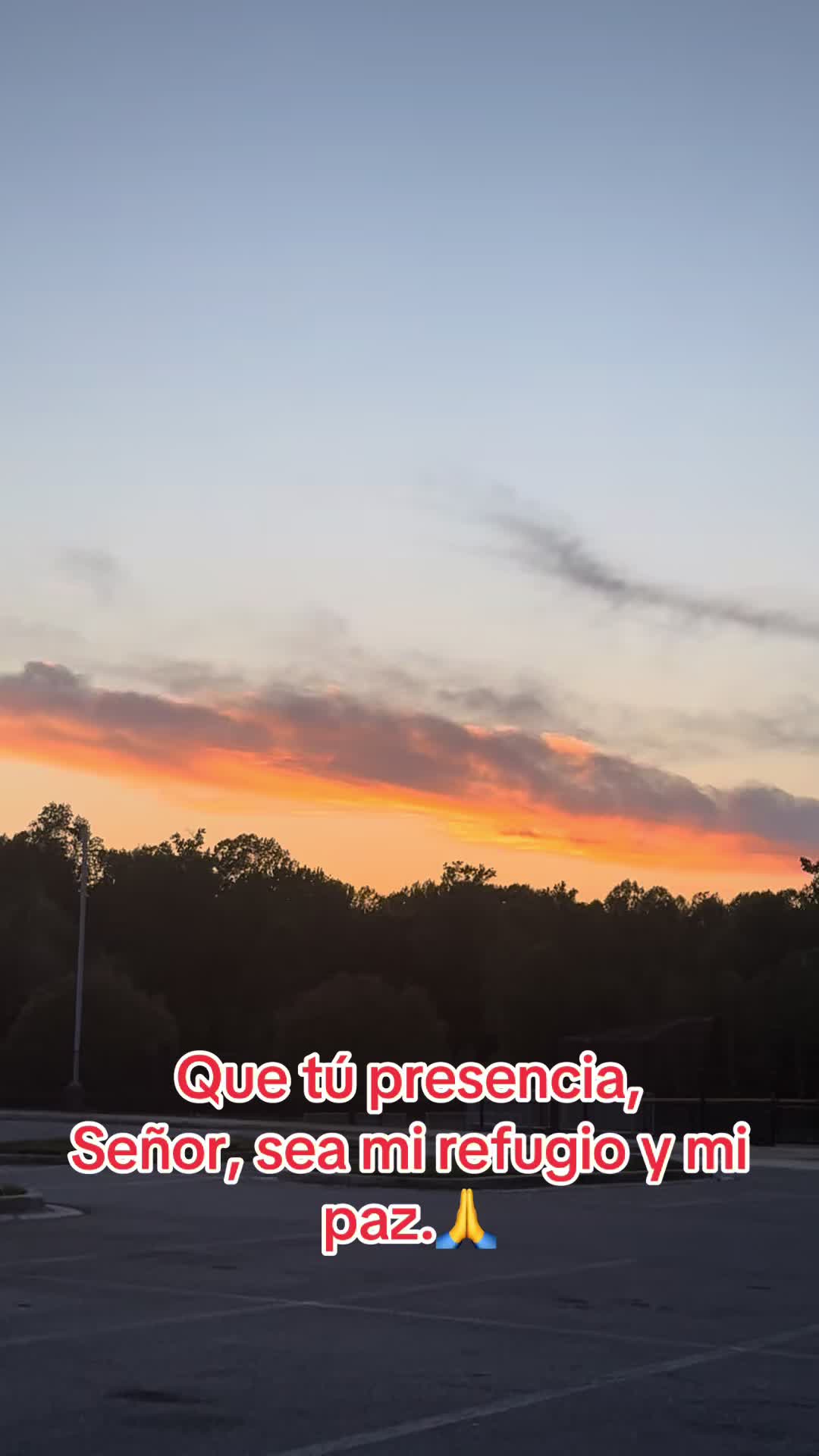 @Yany Mendez