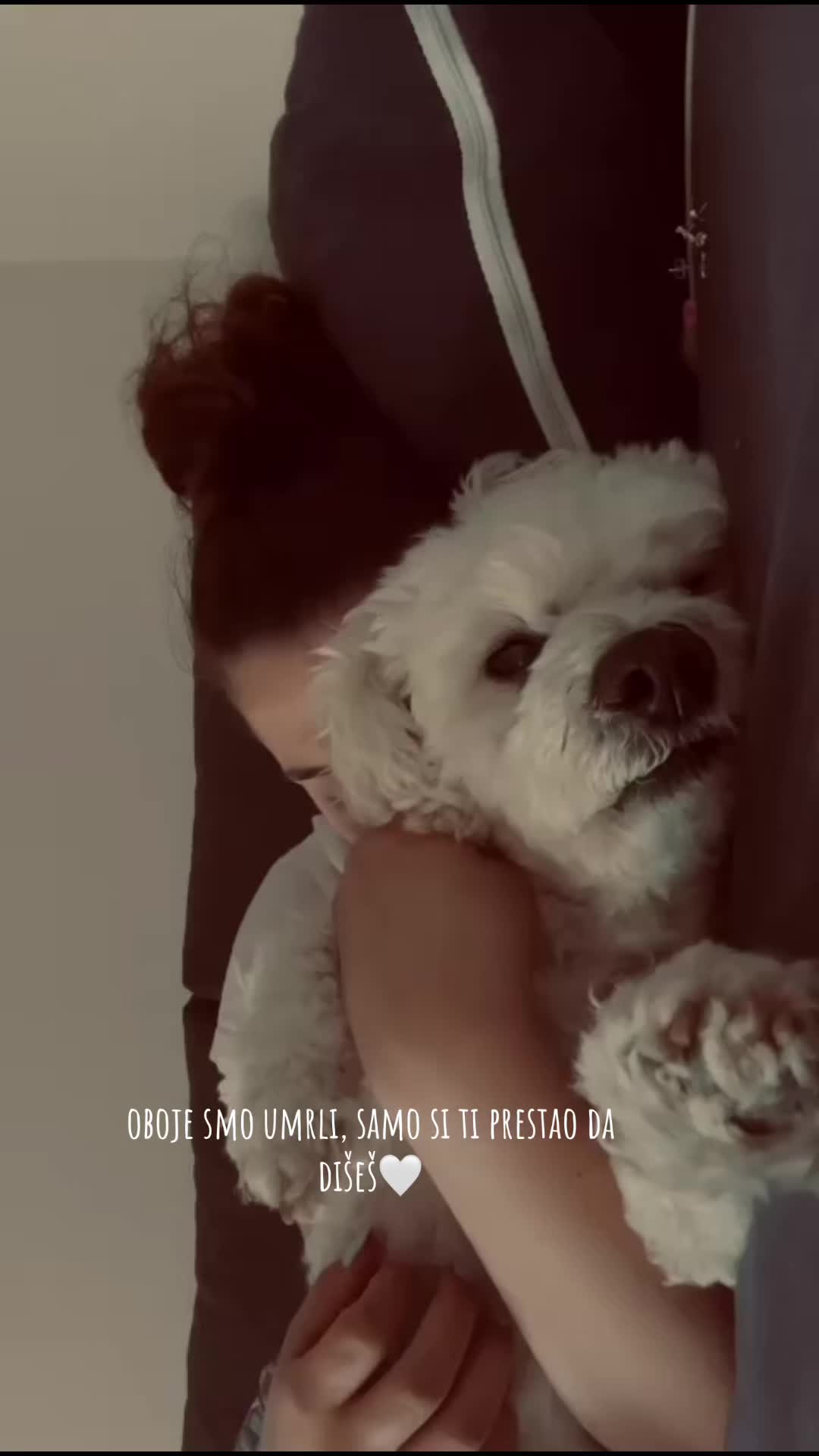 @raadicmilica