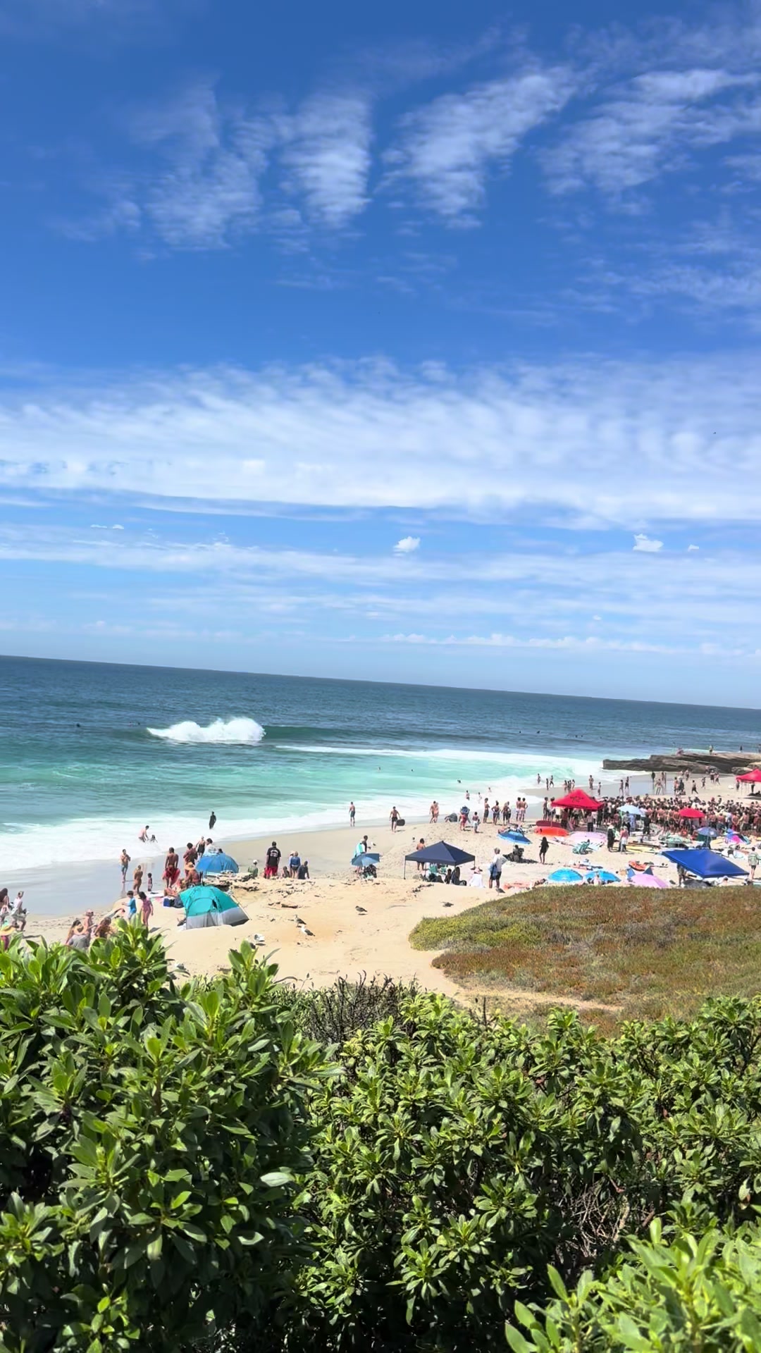 @San Diego Beach Review
