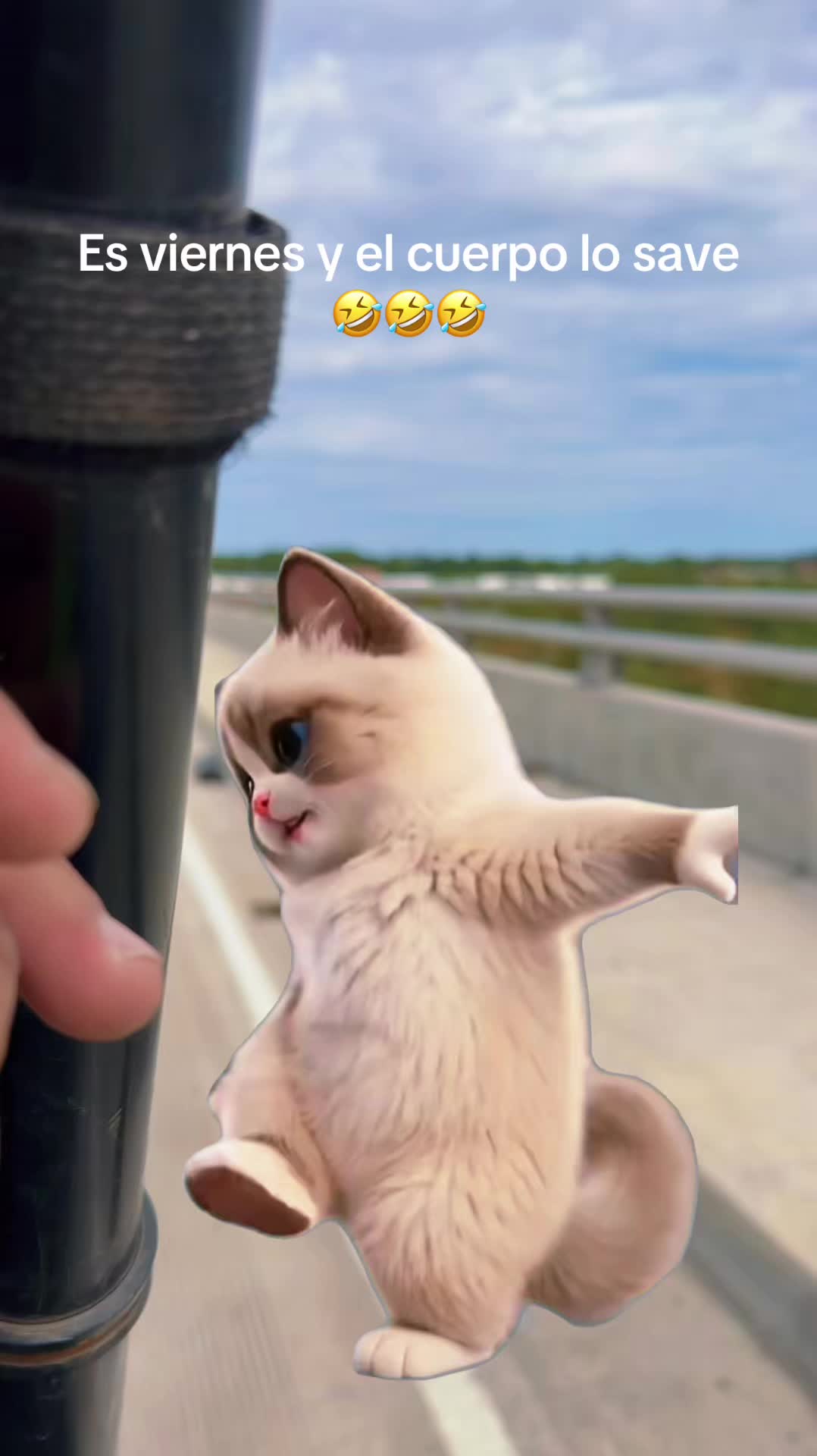 @Mendoza21