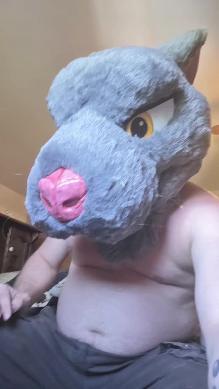 @Rogue728