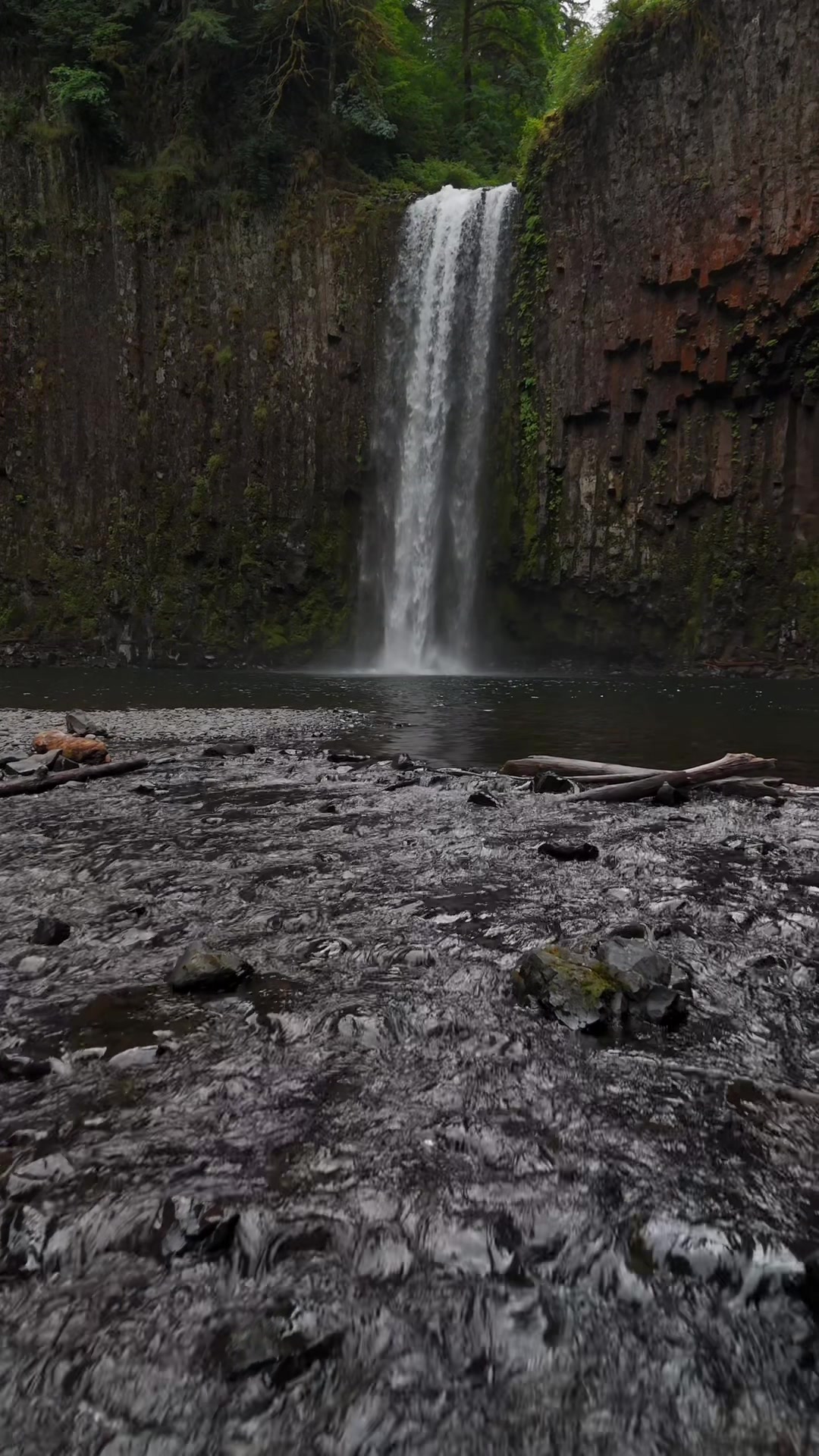 @Badassphotography_PNW
