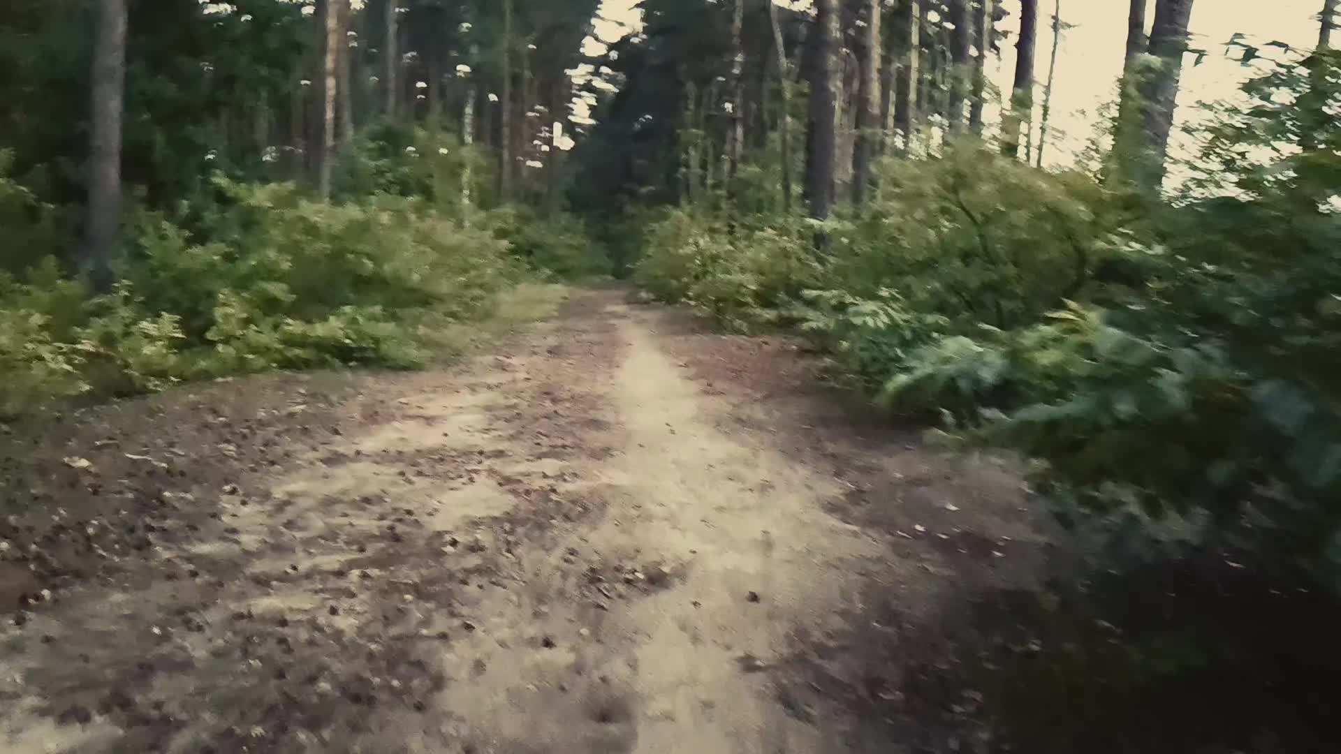 @AK47