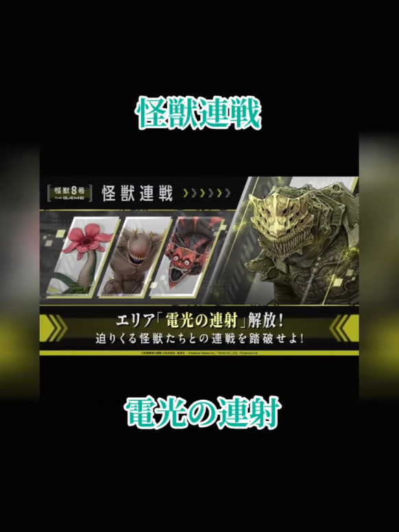 @猫