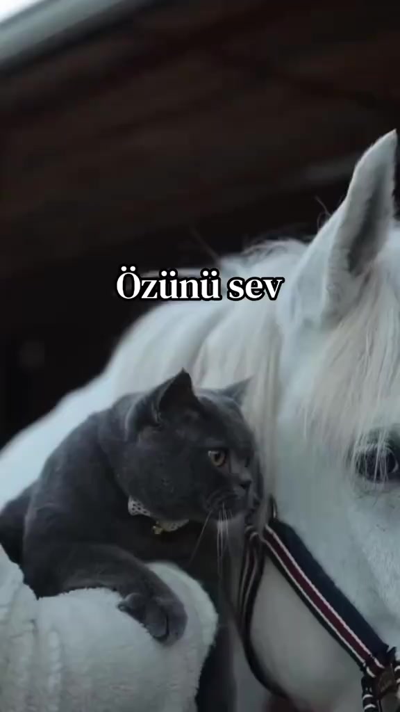 @@alya