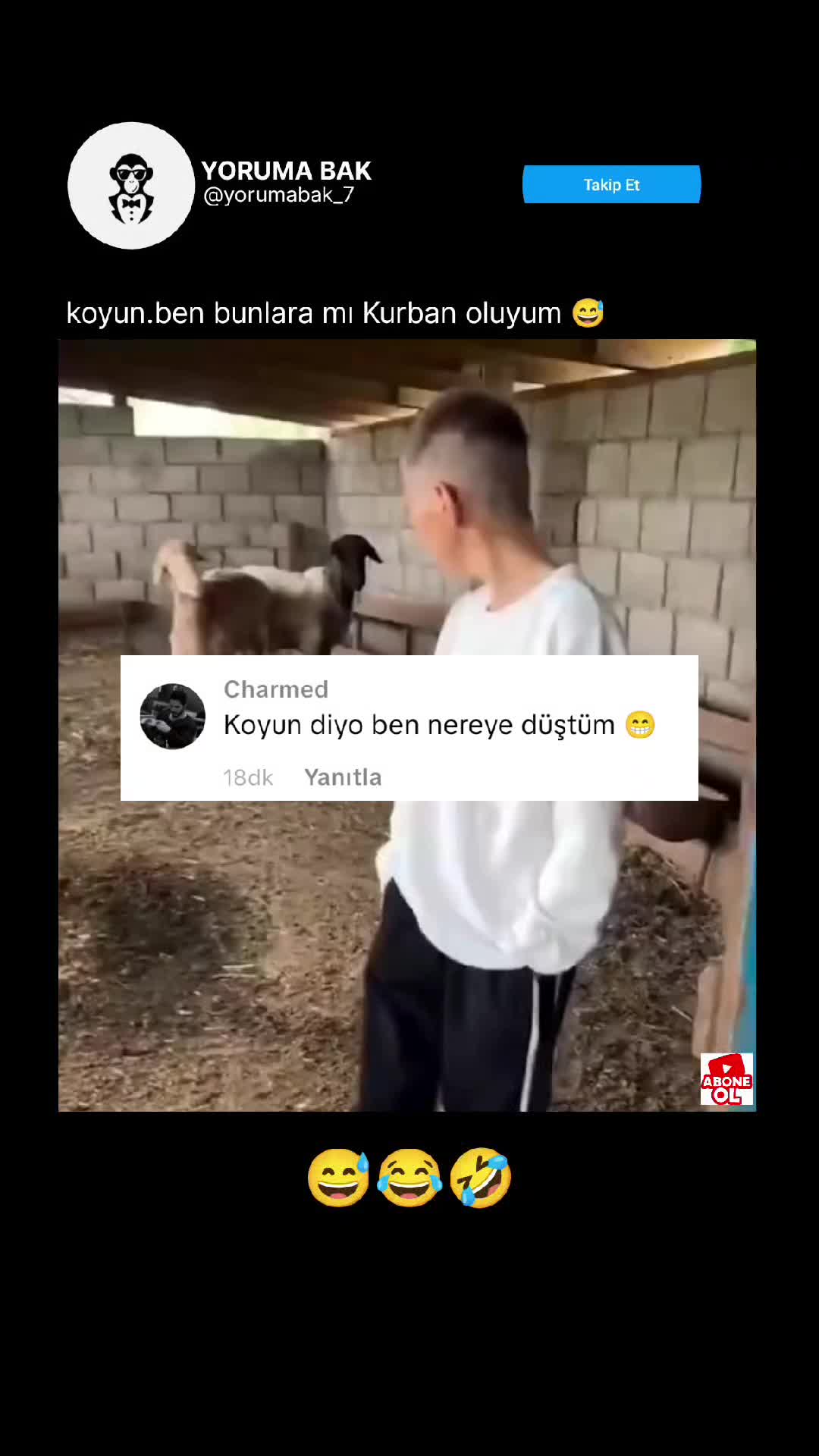 @yoruma.bak