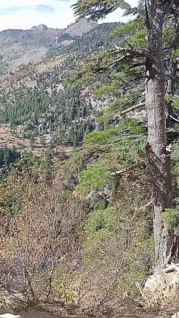@Nursel Aydoğan
