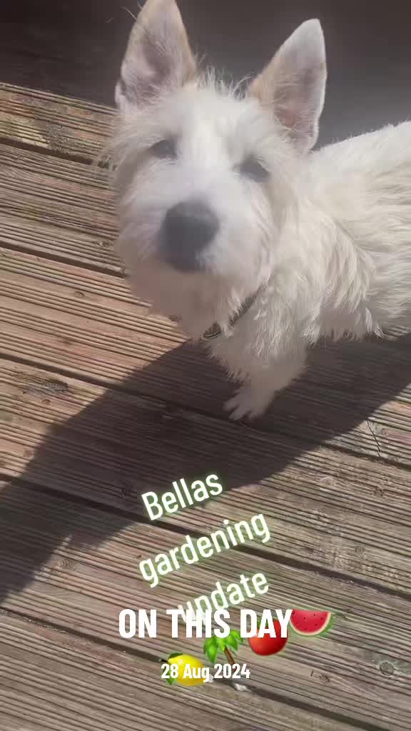 @claire🌈BellaBertErnie💙T&D