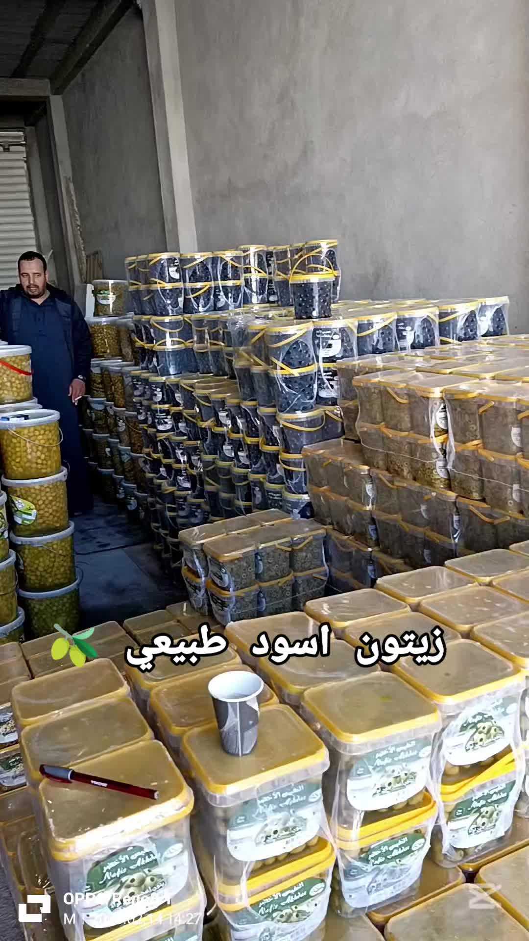 @🌿MOUSSA🫒Olive🥒Biskra🌴