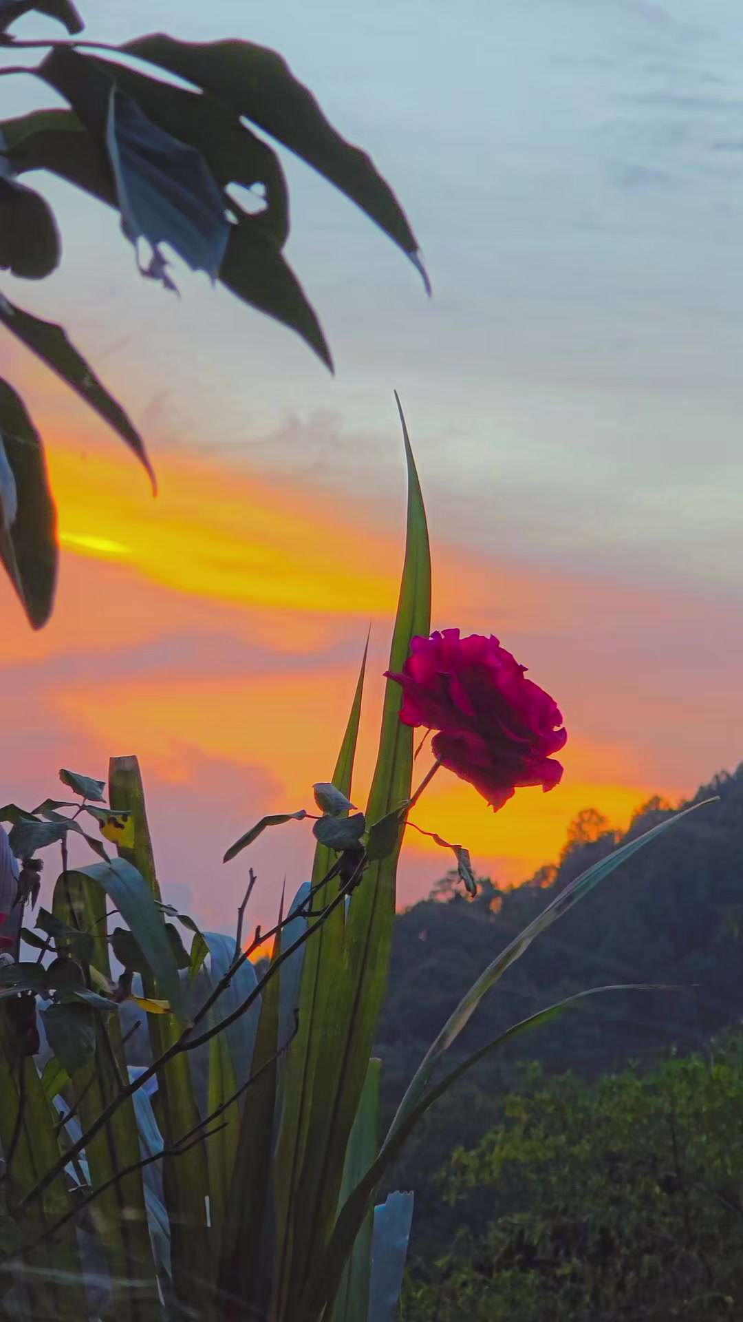 @🌾 𝙴 𝚟 𝚎 𝐫 📸 👑