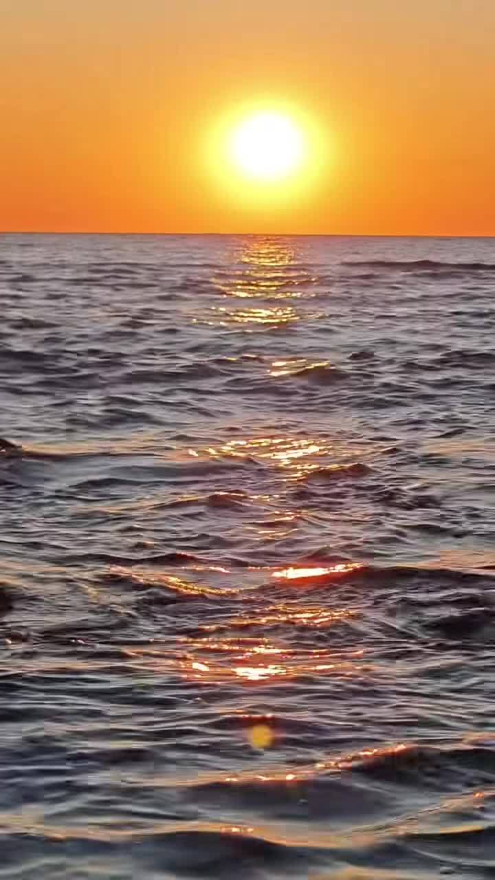 @Shalom_Odessa