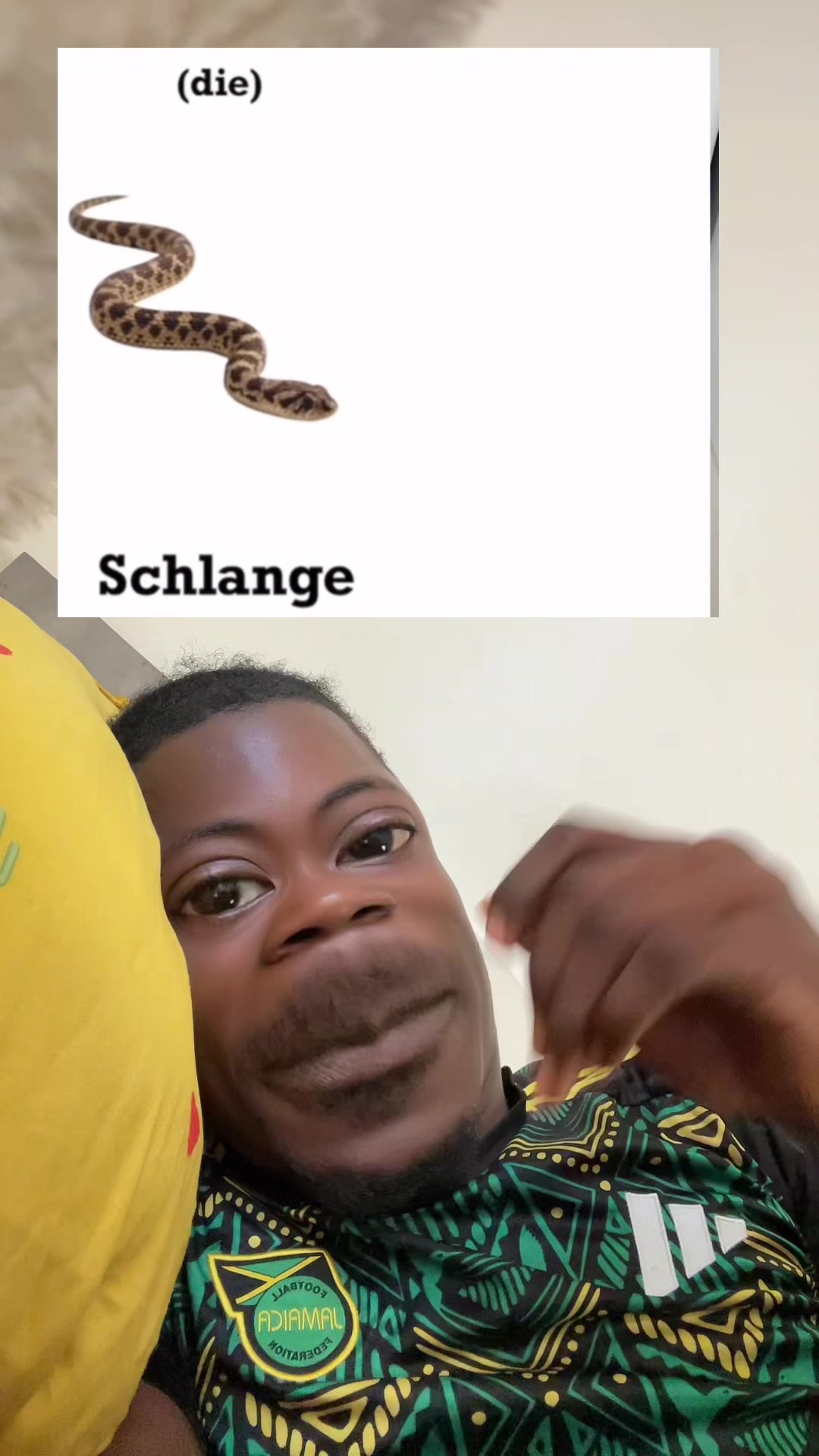 @laurentdak