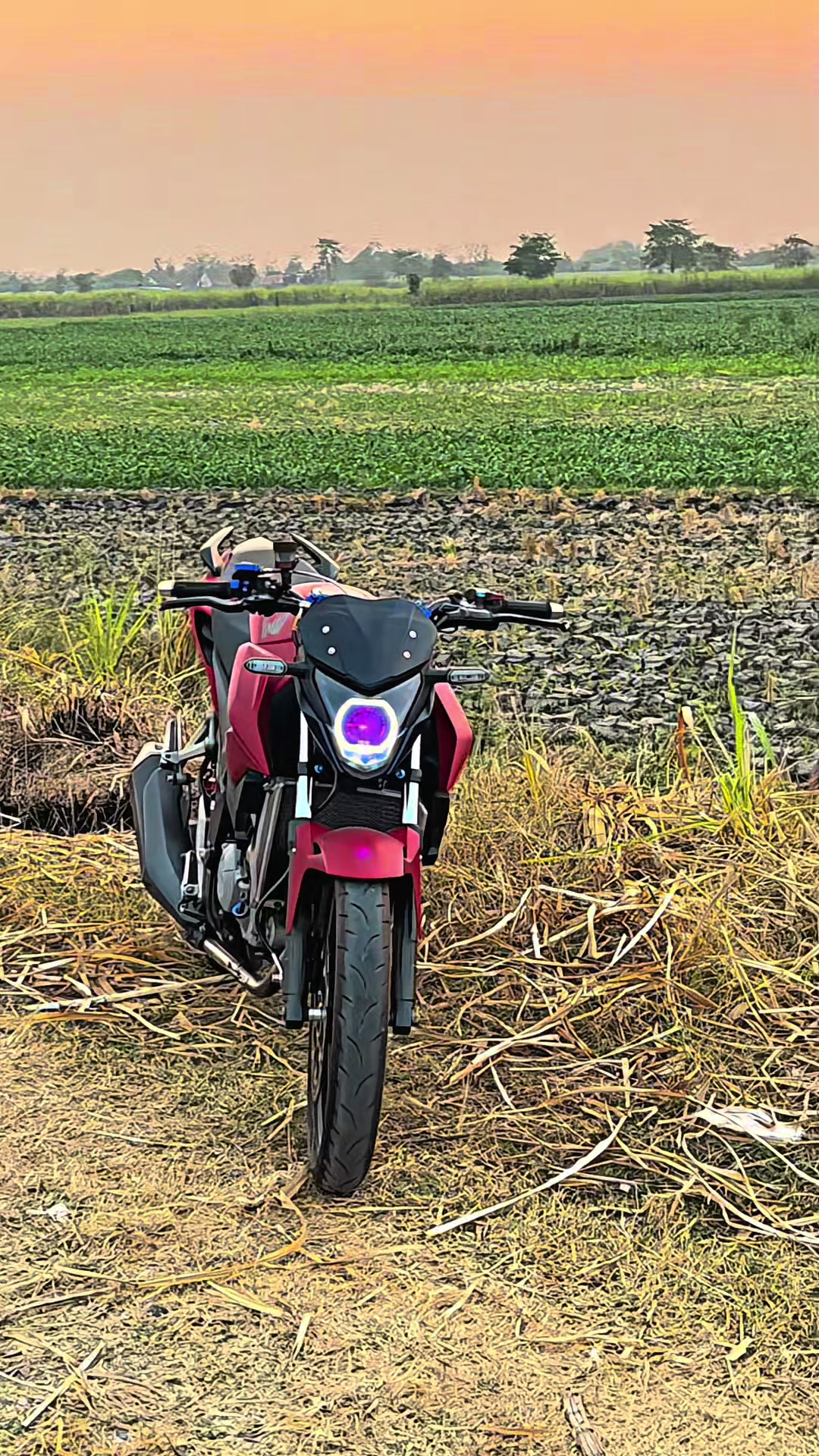@Sebutsajadava.