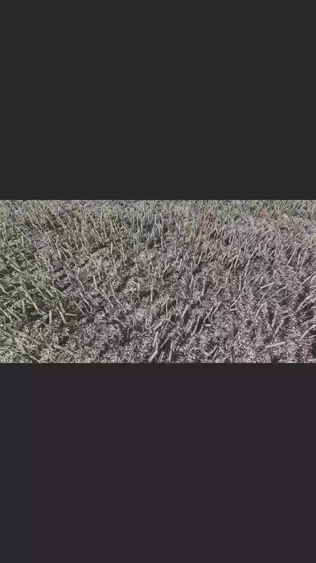 @𝕻𝖎𝖈𝖘 𝖇𝖞 𝕸𝖎𝖐𝖆🇩🇪⚜️🚜