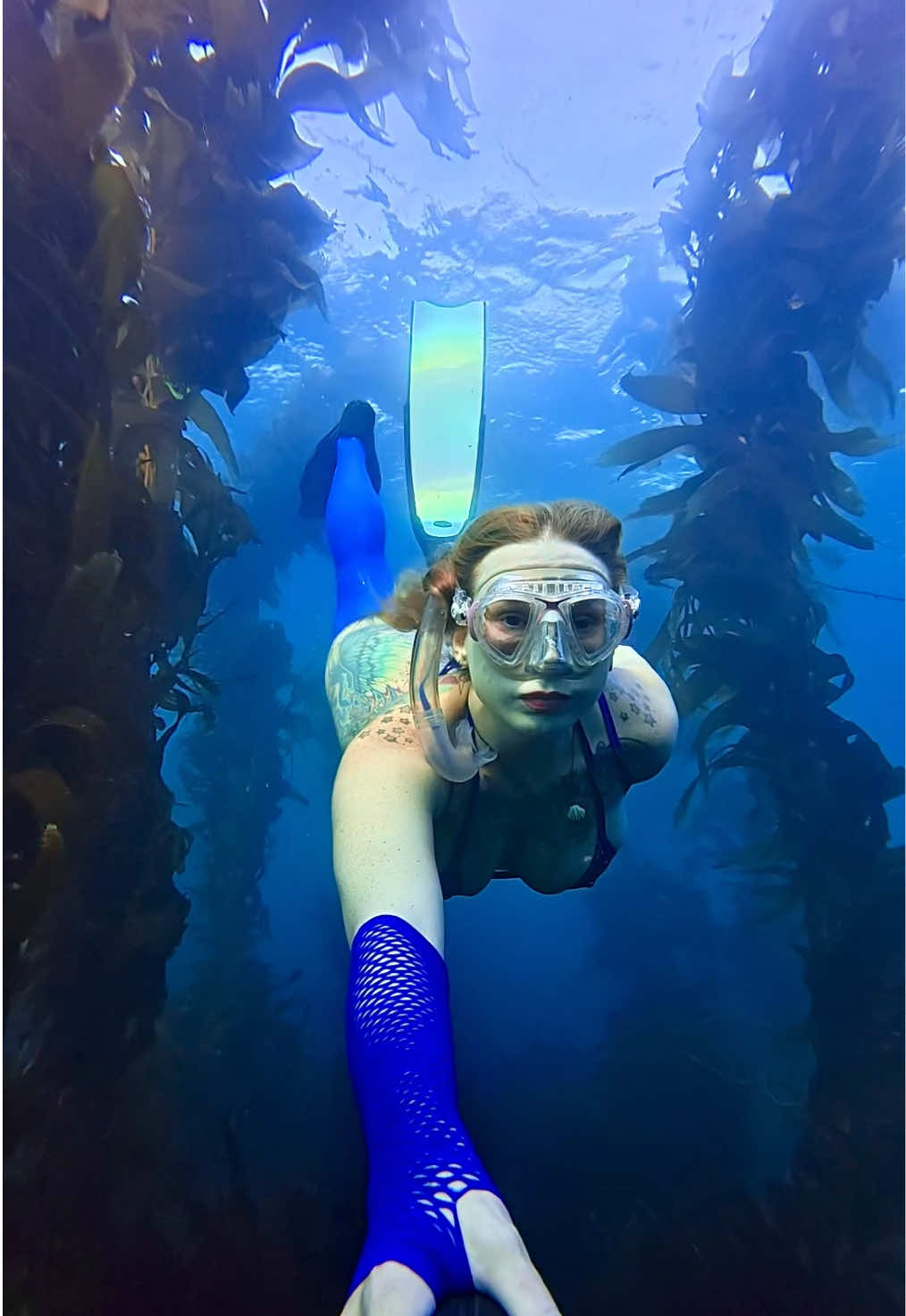 @Coralia Dives 🧜&zwj;♀️