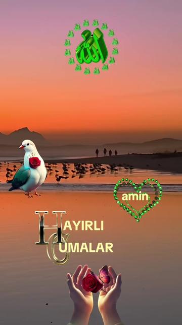 @💫🤍Fazilet🤍💫