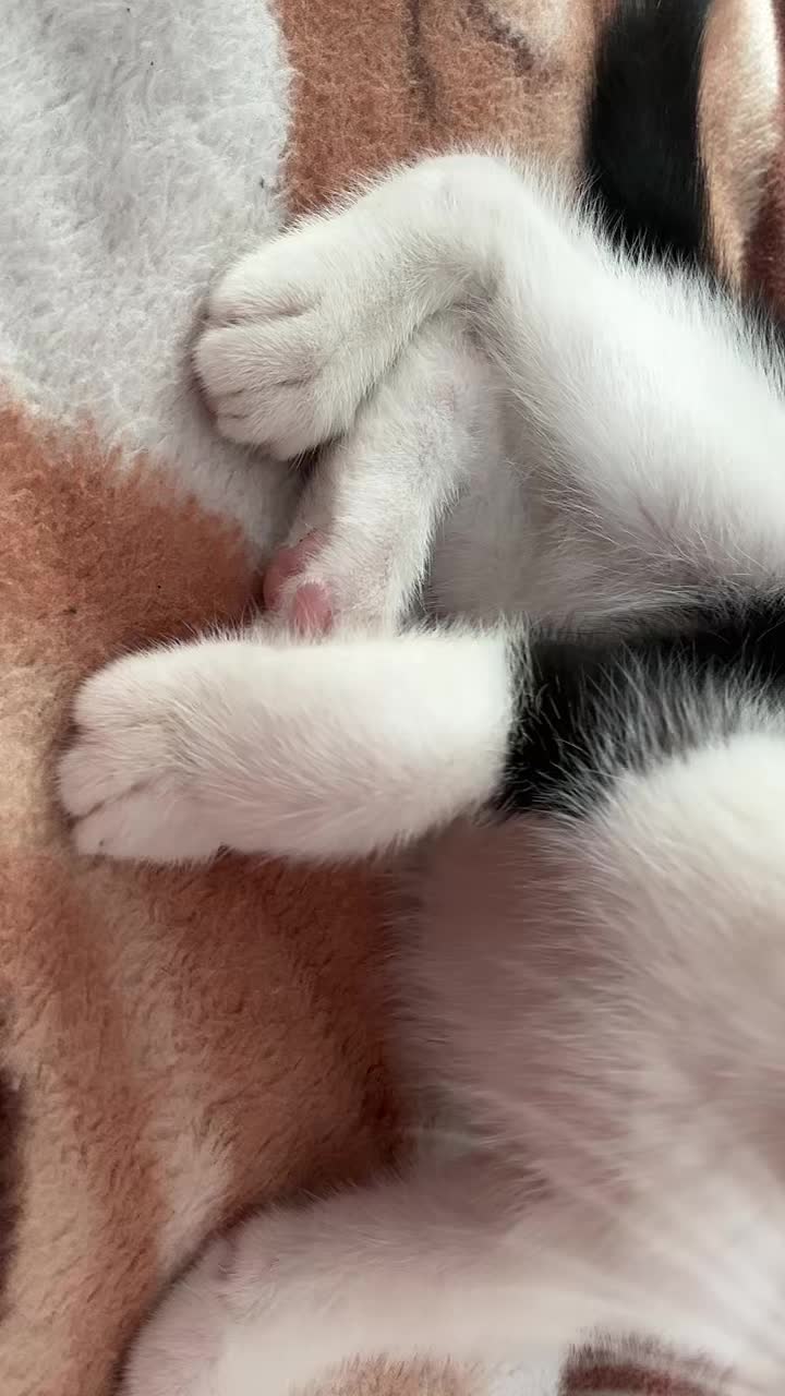 @🖤🤍Oreo_rants🖤🤍
