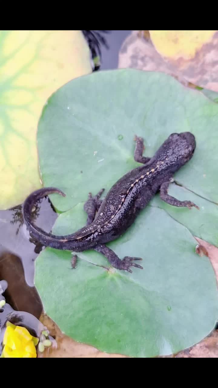 @Natur und Garten