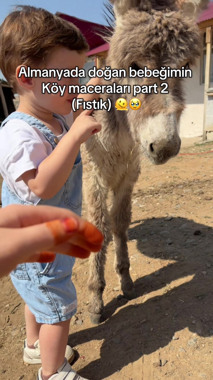 @seher neumann