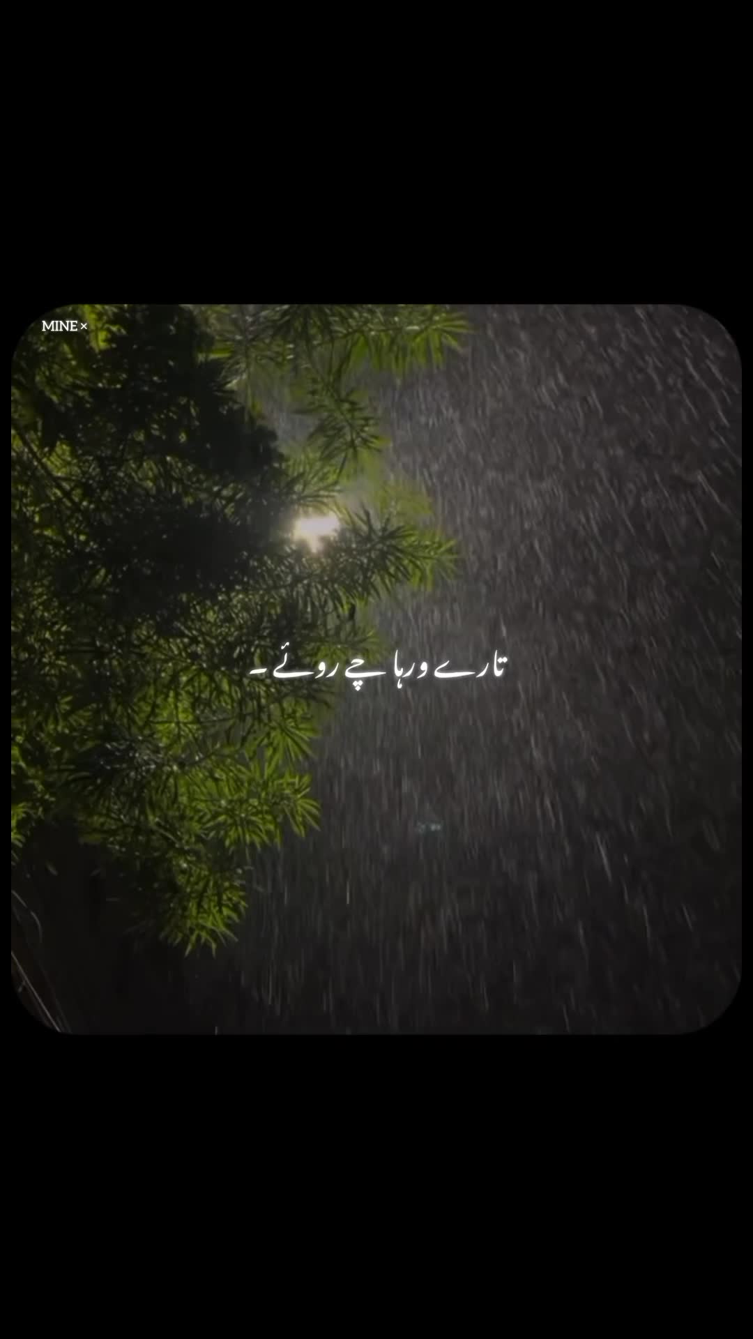 @𝙉𝙊𝙏 𝙈𝙄𝙉𝙀❀