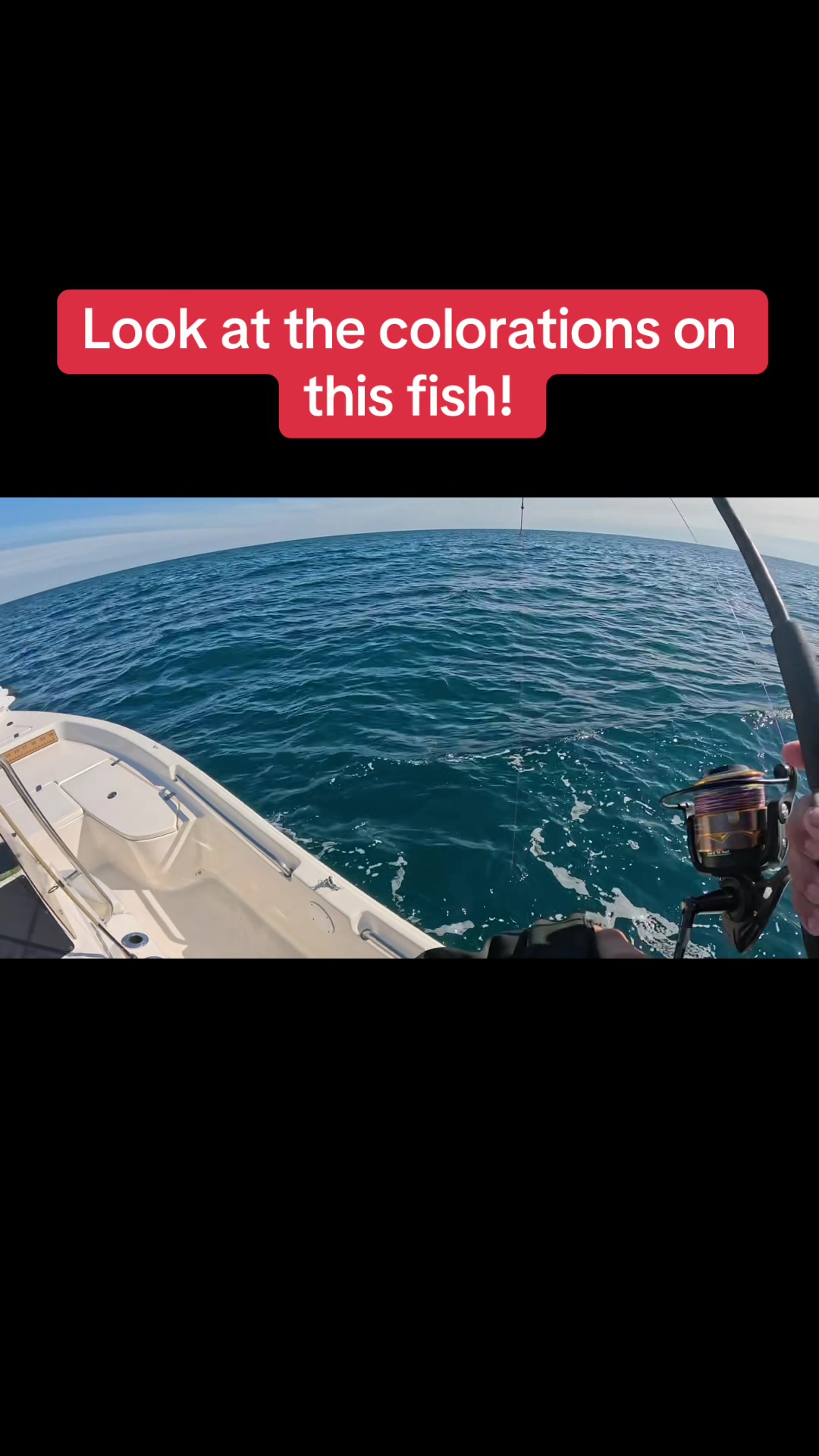 @BeaufortSC_Bait