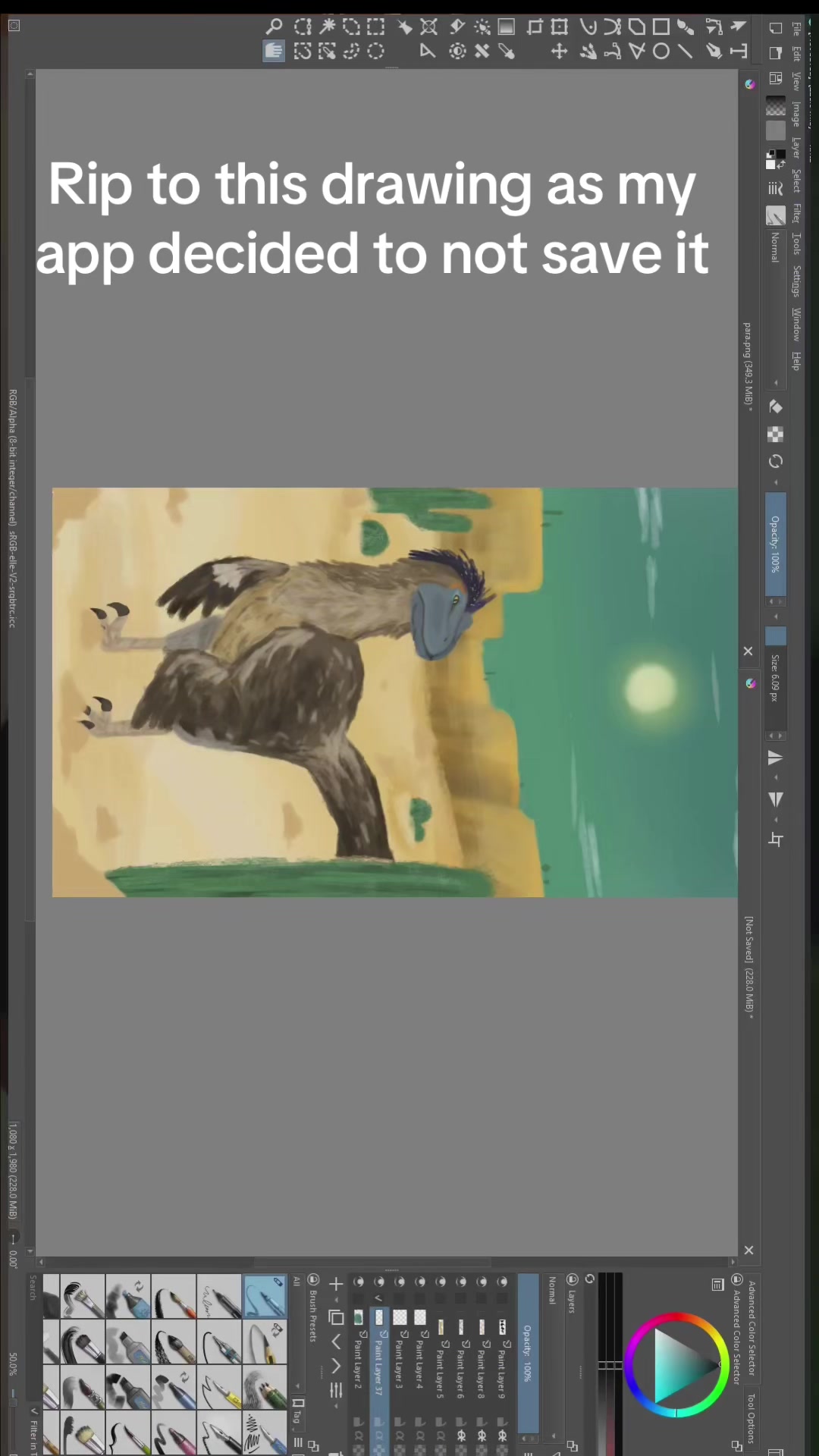 @Shiny(comms open)