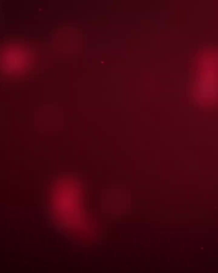 @MDmaher