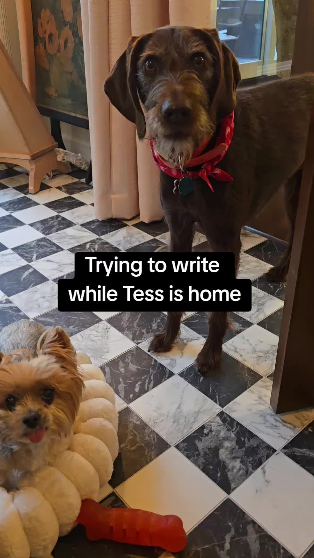 @AuthorAbbyJimenez