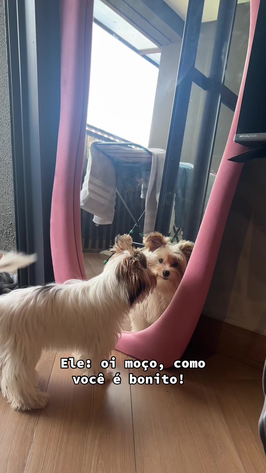 @manumacedof_