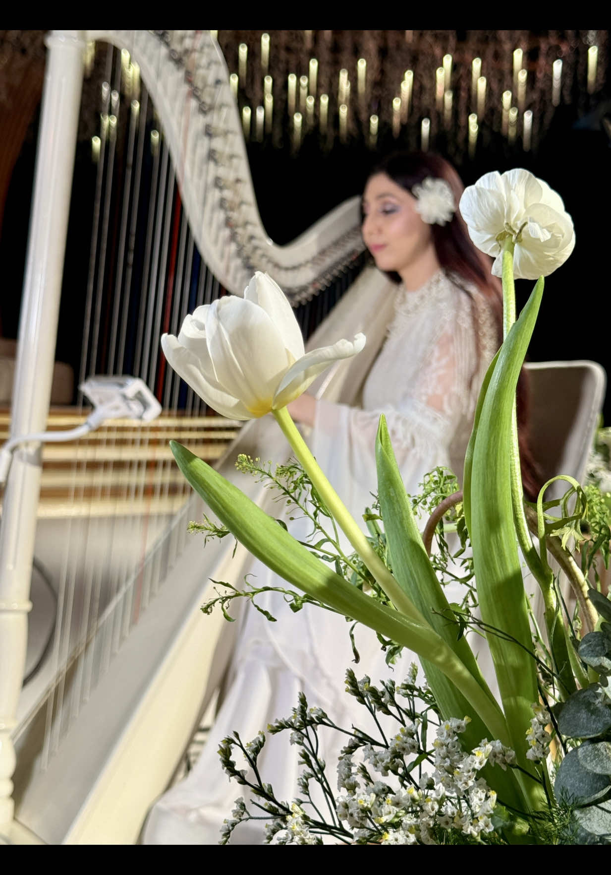 @harp.ae