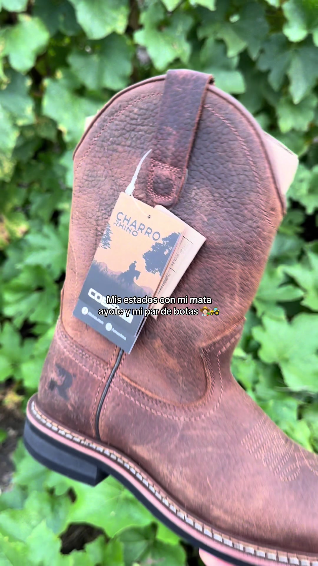 @Venta de Botas RHINO