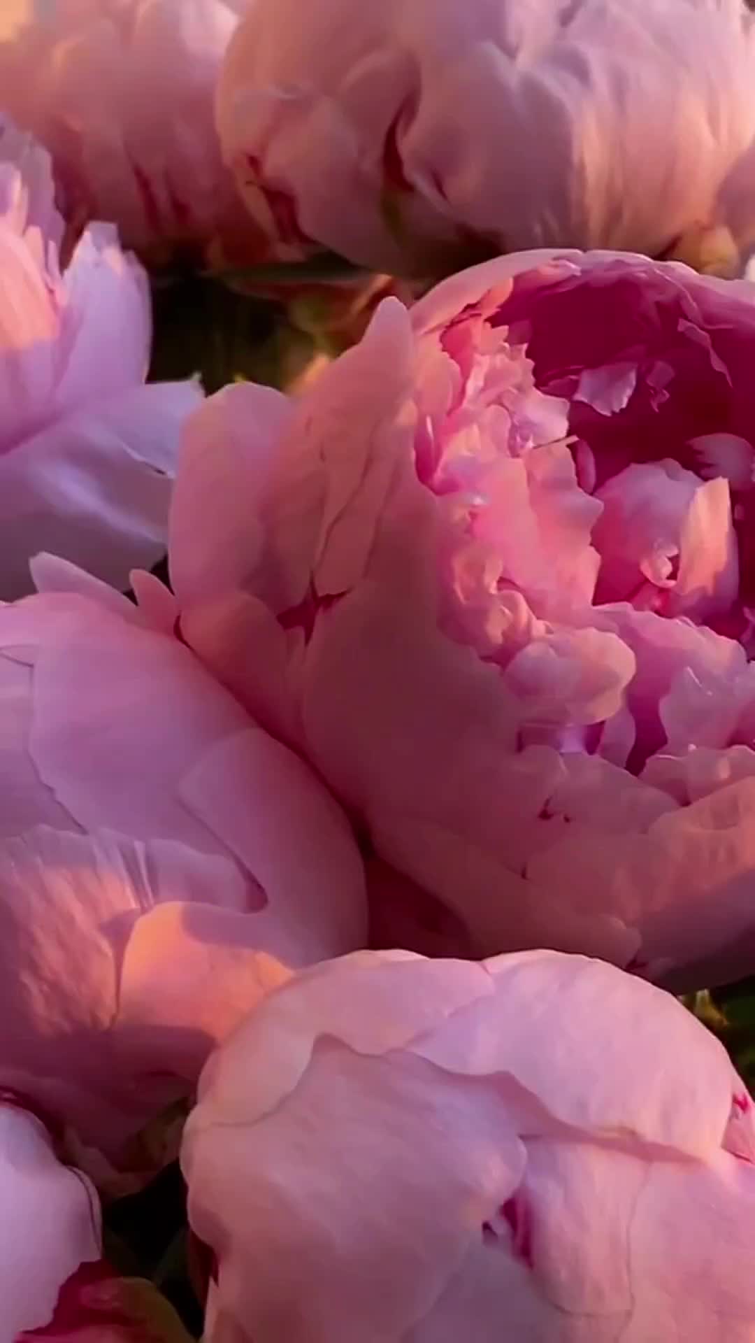 @Катя