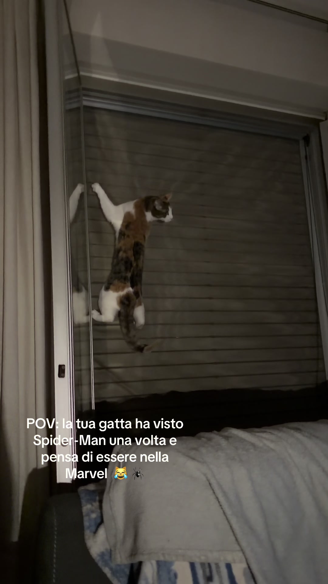 @Elena Stefanelli