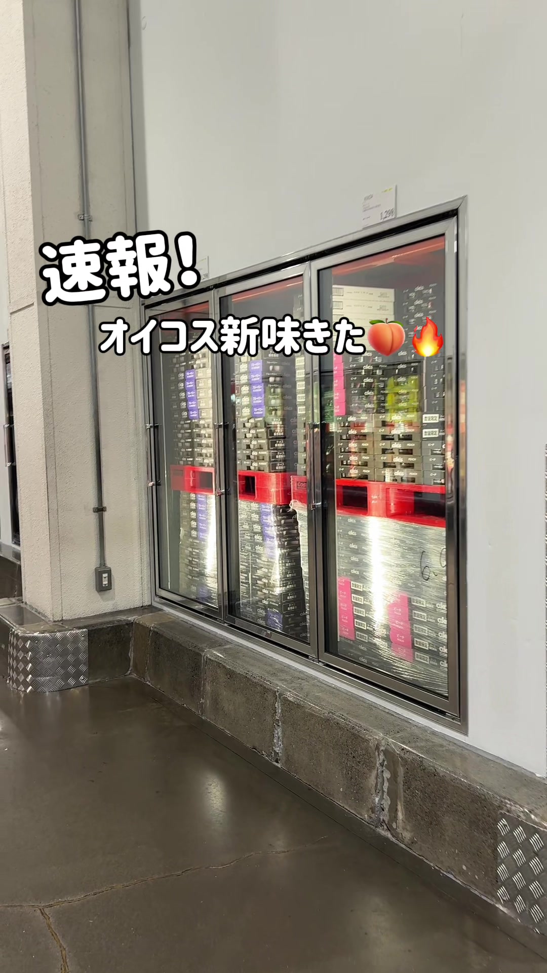 @毎日コストコに通う主婦🥤てこ
