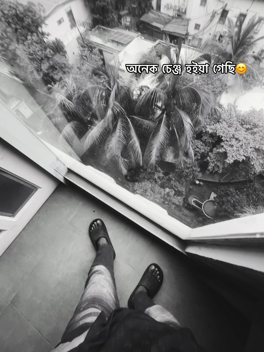 @AJMIR 🐉