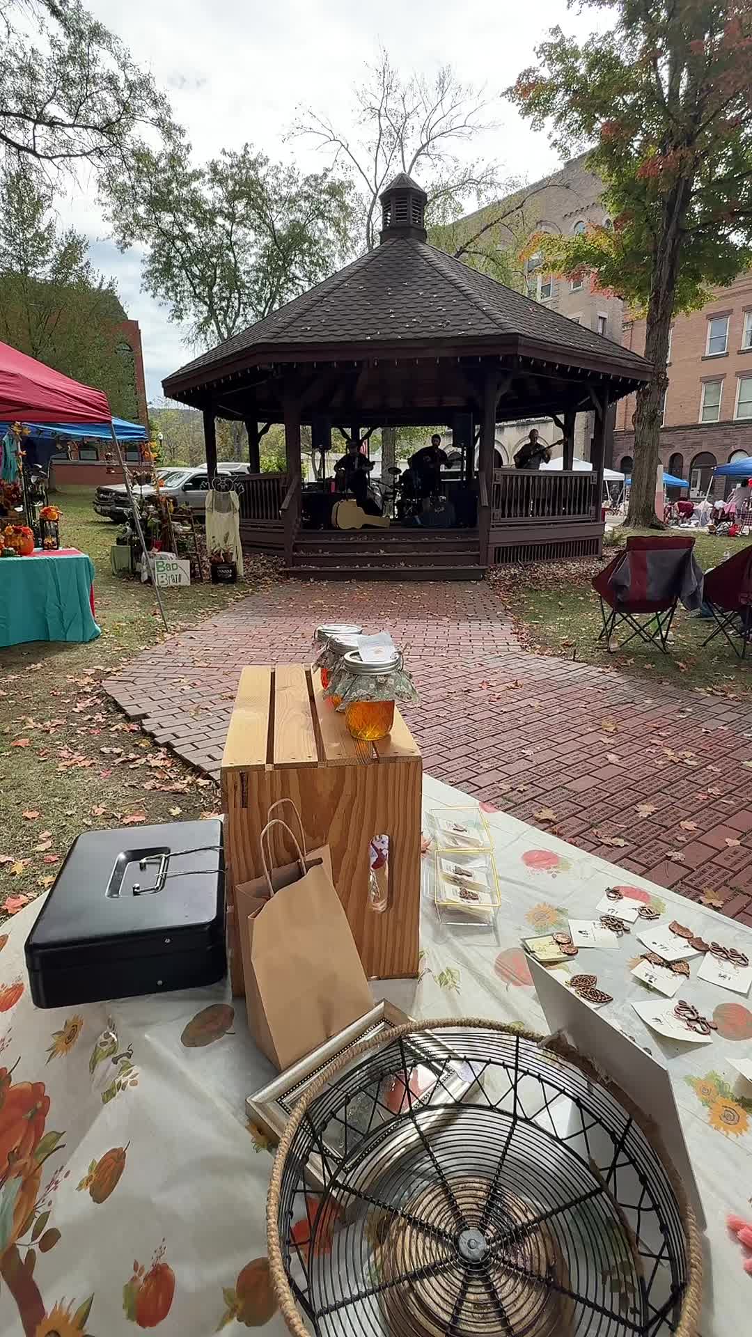 @Alleghenynesting