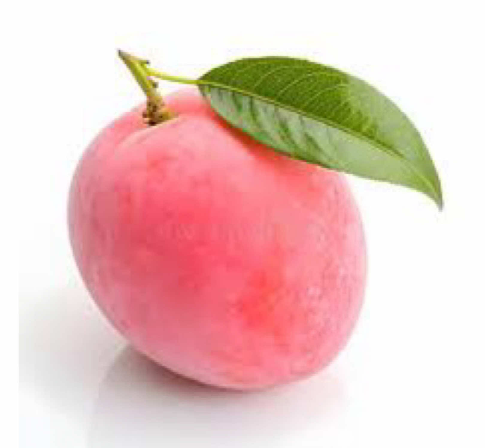 @P1nky.com