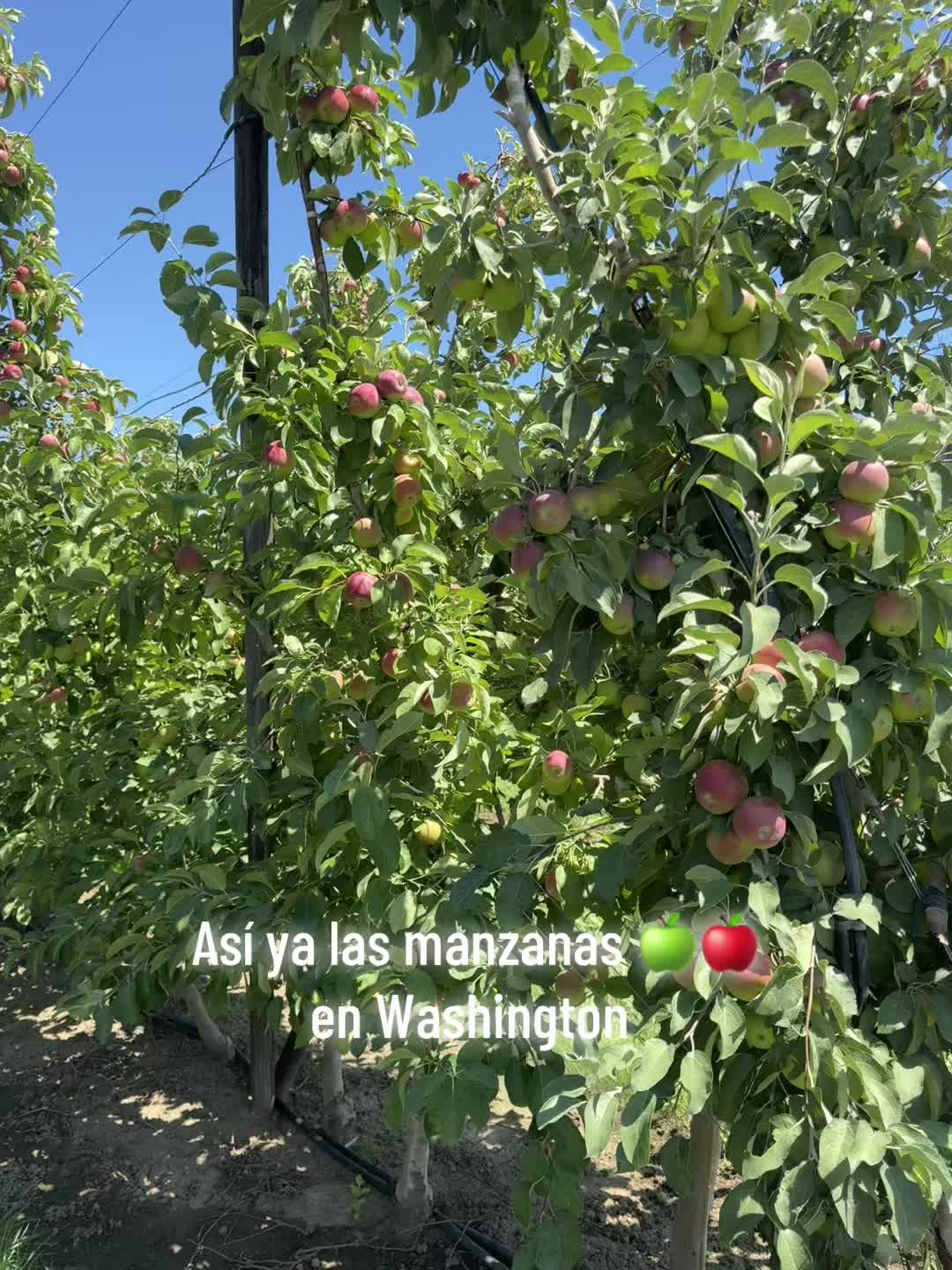 @🦋💕La Mayra💕🦋