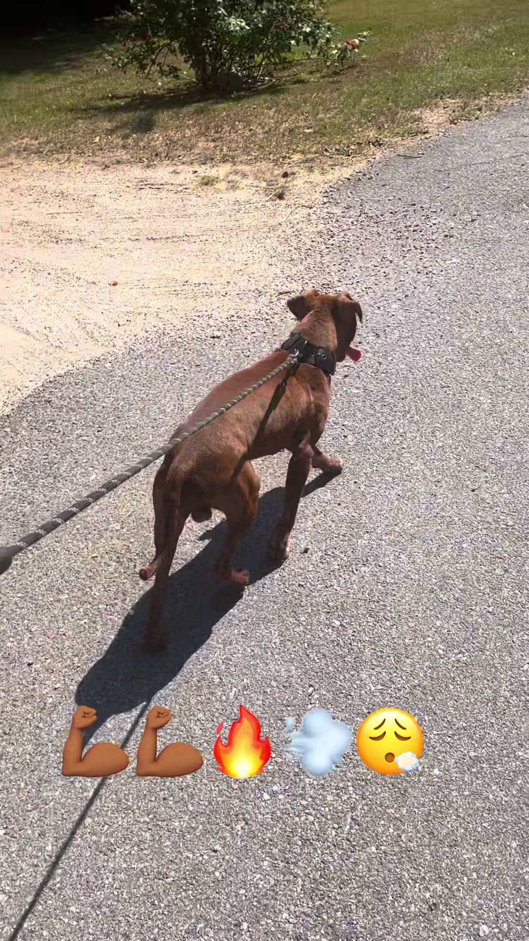 @kamwithapbt
