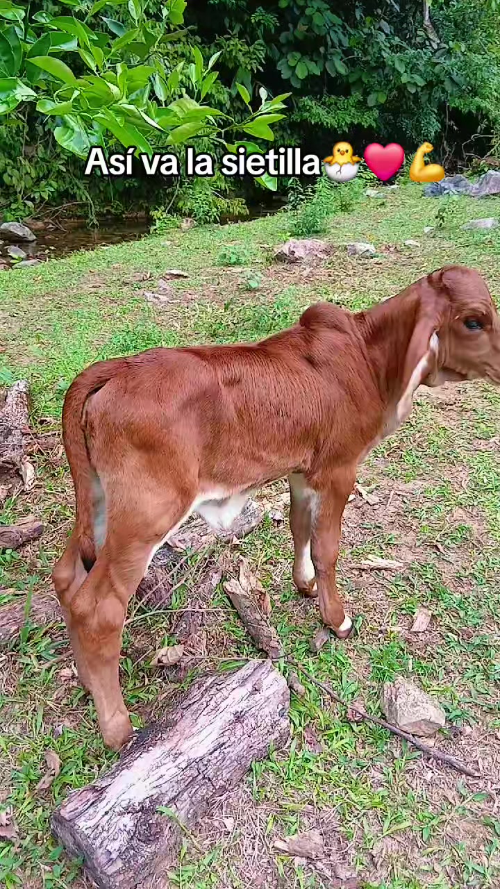 @Rancho Escondido🐂🐄🐃📿🌾🙏