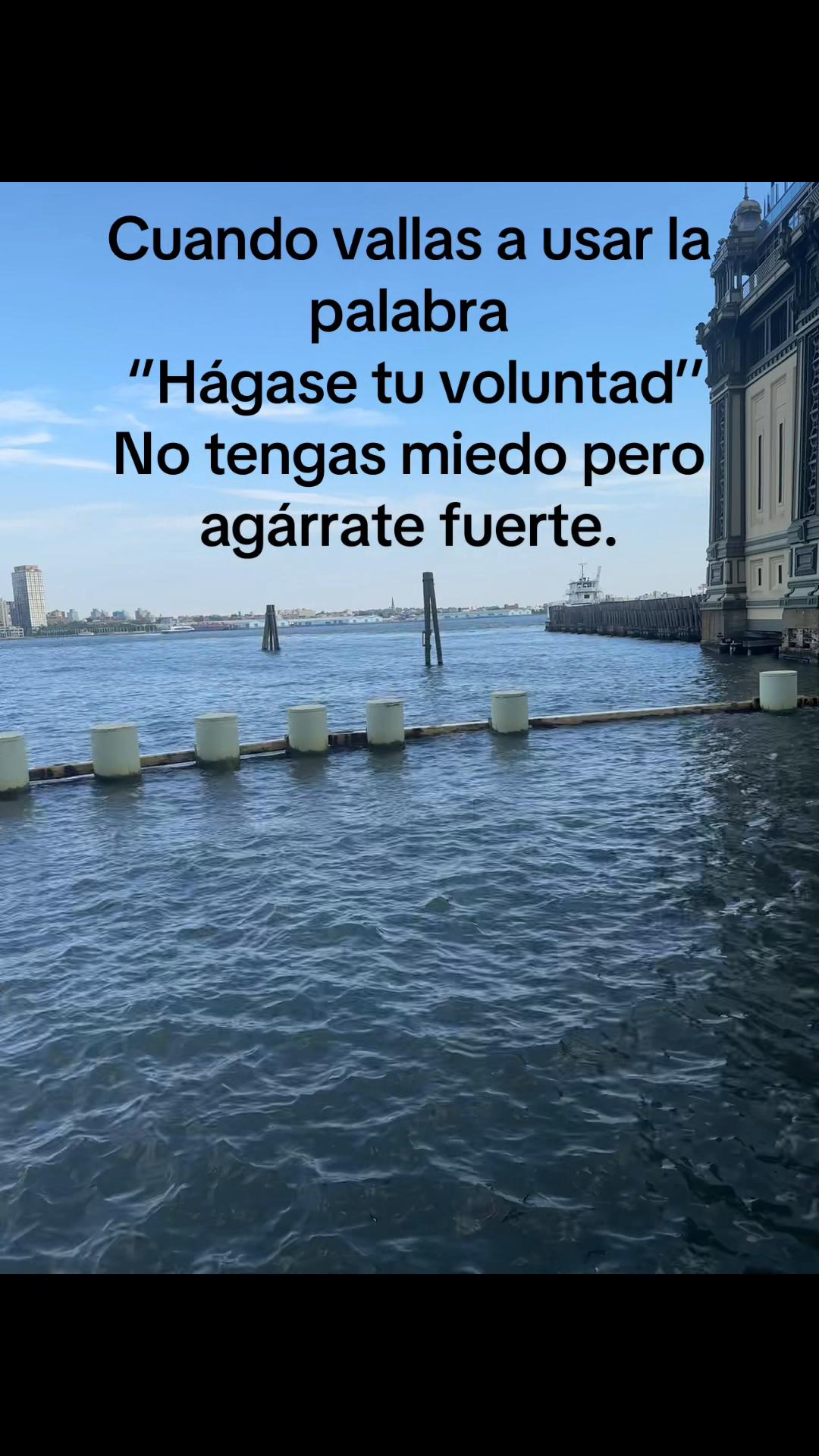 @Flores