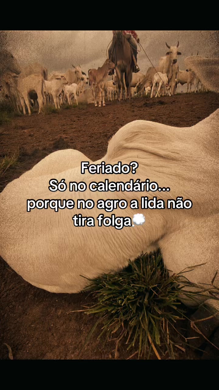@📿K&Aacute;SSIO.agro𓃗🤠