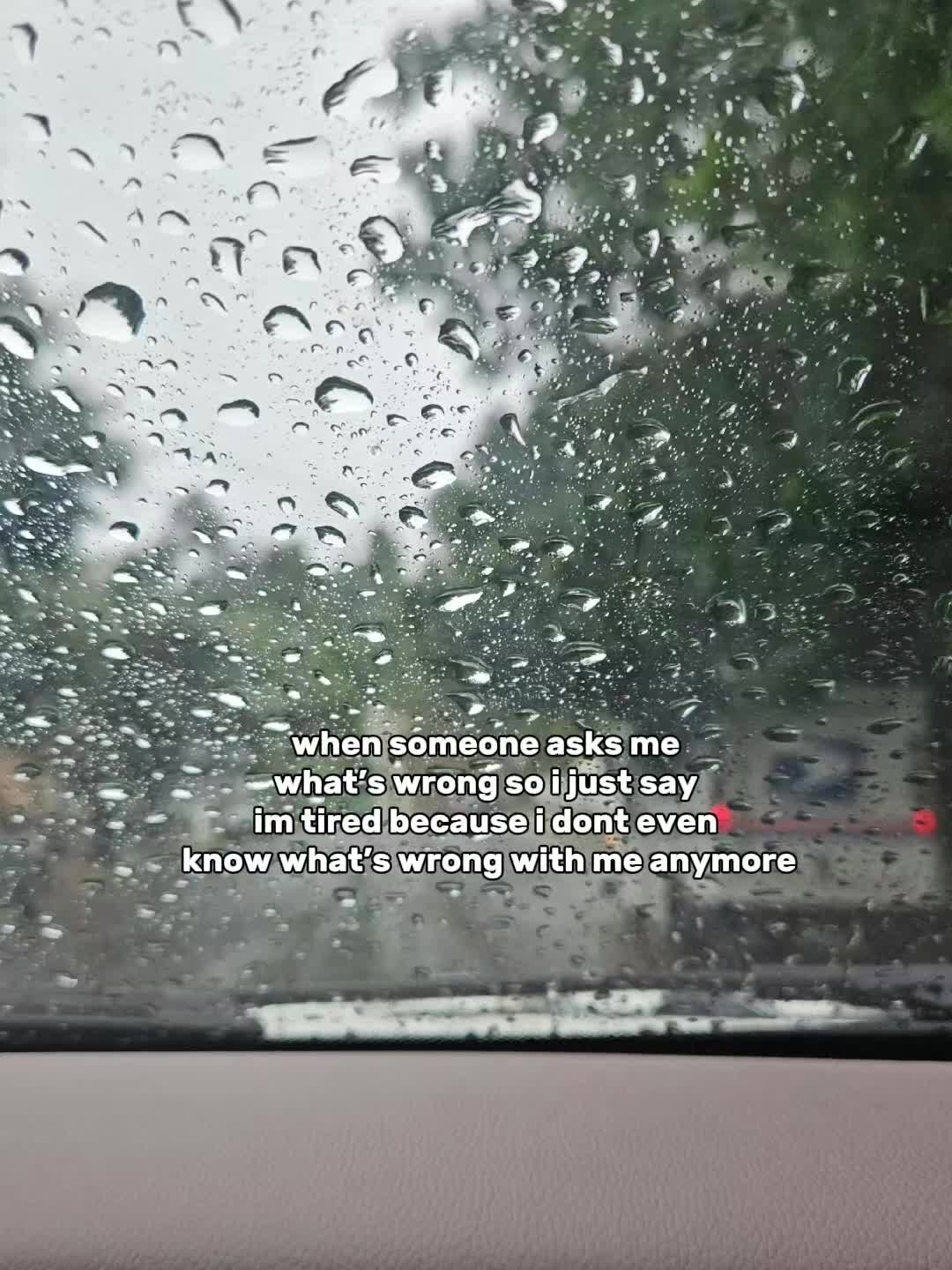 @birdlover123:)