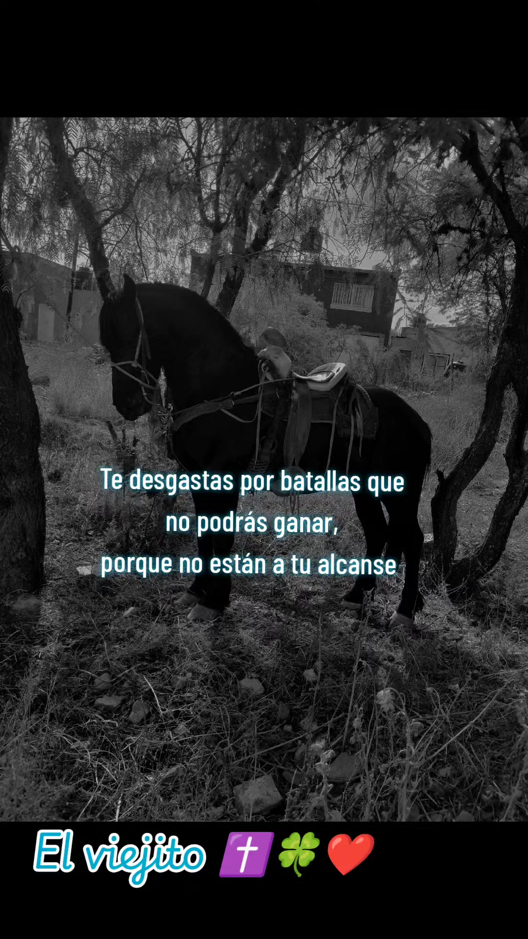 @Viejito Cordova✝️🍀❤️🐎🦅